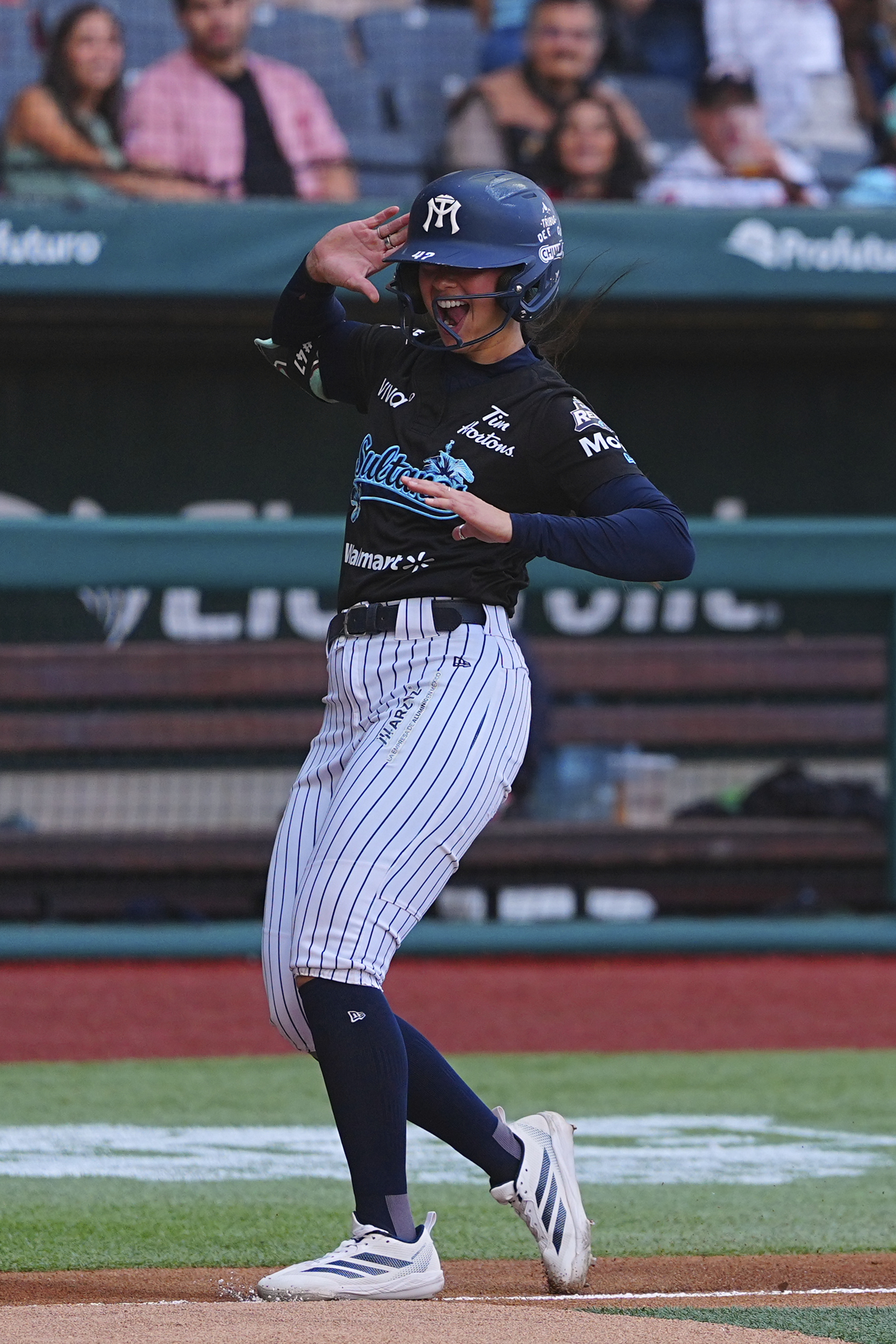 Imagen del artículo