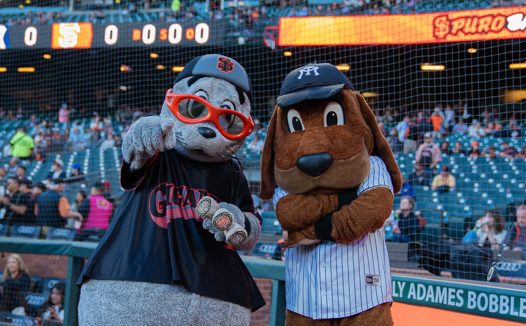 Imagen del artículo