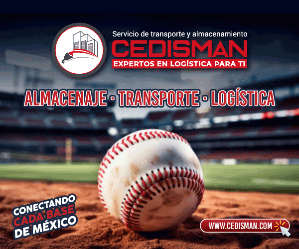 CEDISMAN — Expertos en logística: almacenaje, transporte y logística