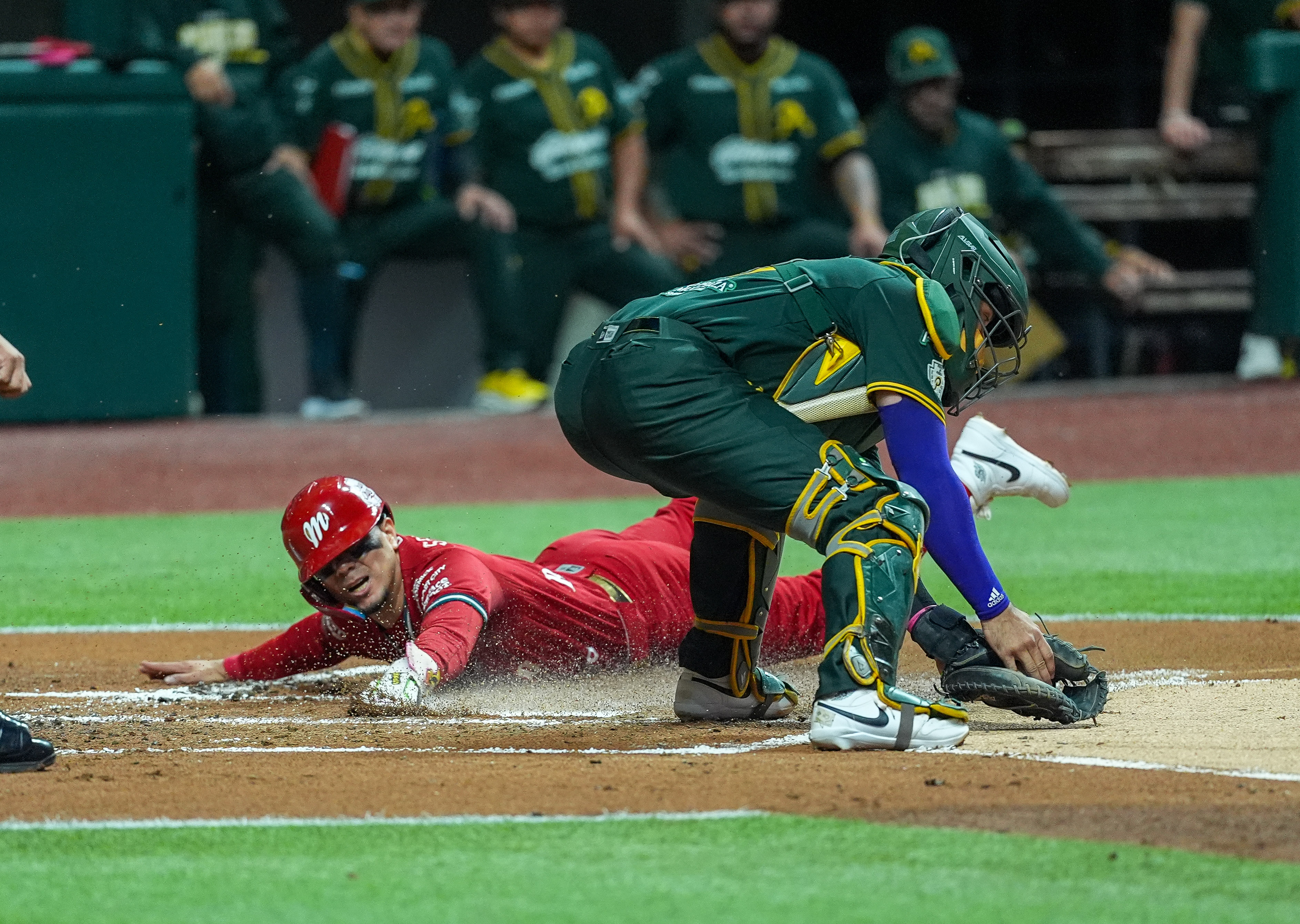 Las cuatro Series de Zona de la LMB Banorte, al día: Pericos manda 2-0 y el Norte se juega el cuarto capítulo este sábado