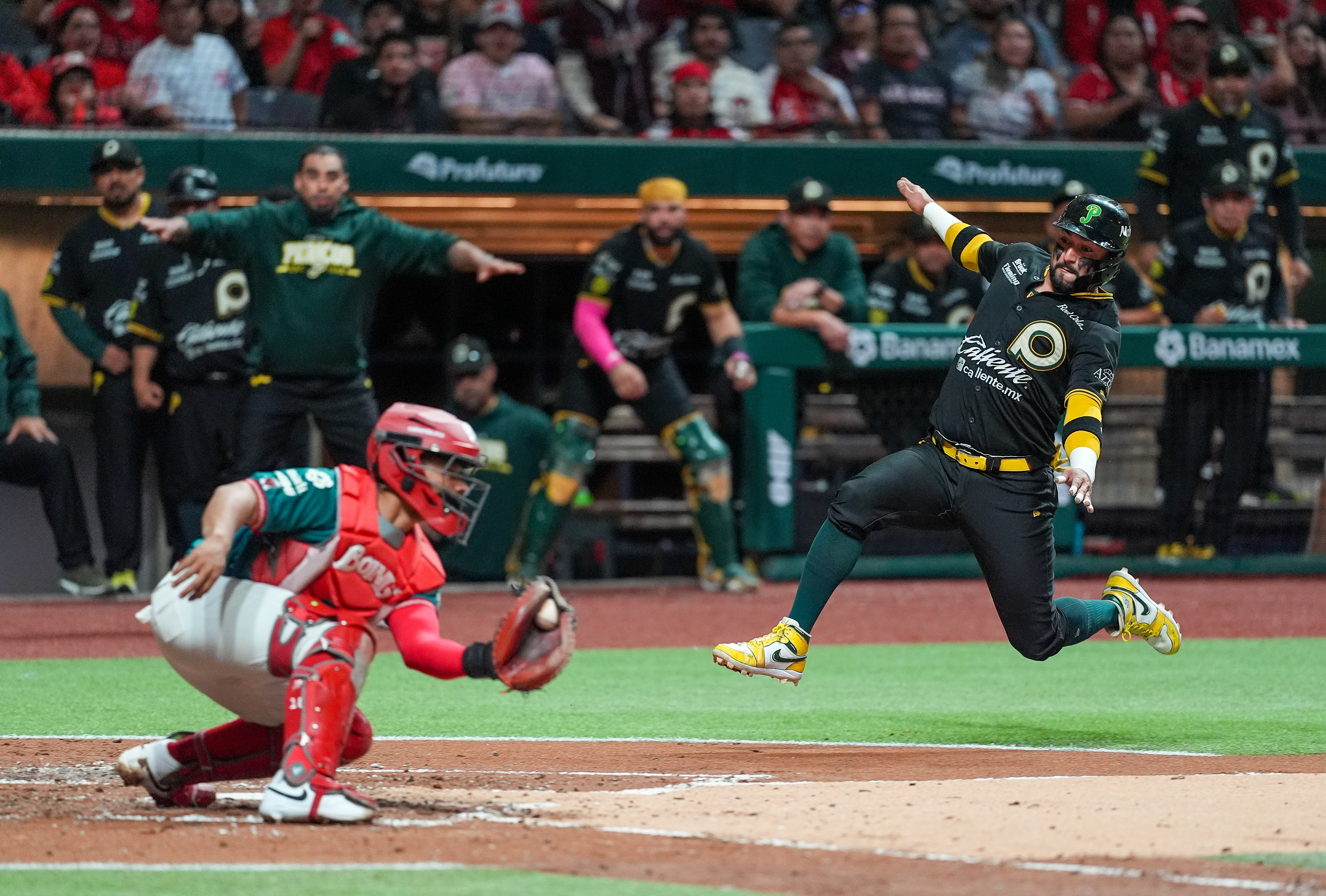 Pericos apaga el tricampeonato de Diablos y la Zona Sur se define hoy en Villahermosa; el Norte ya tiene su final