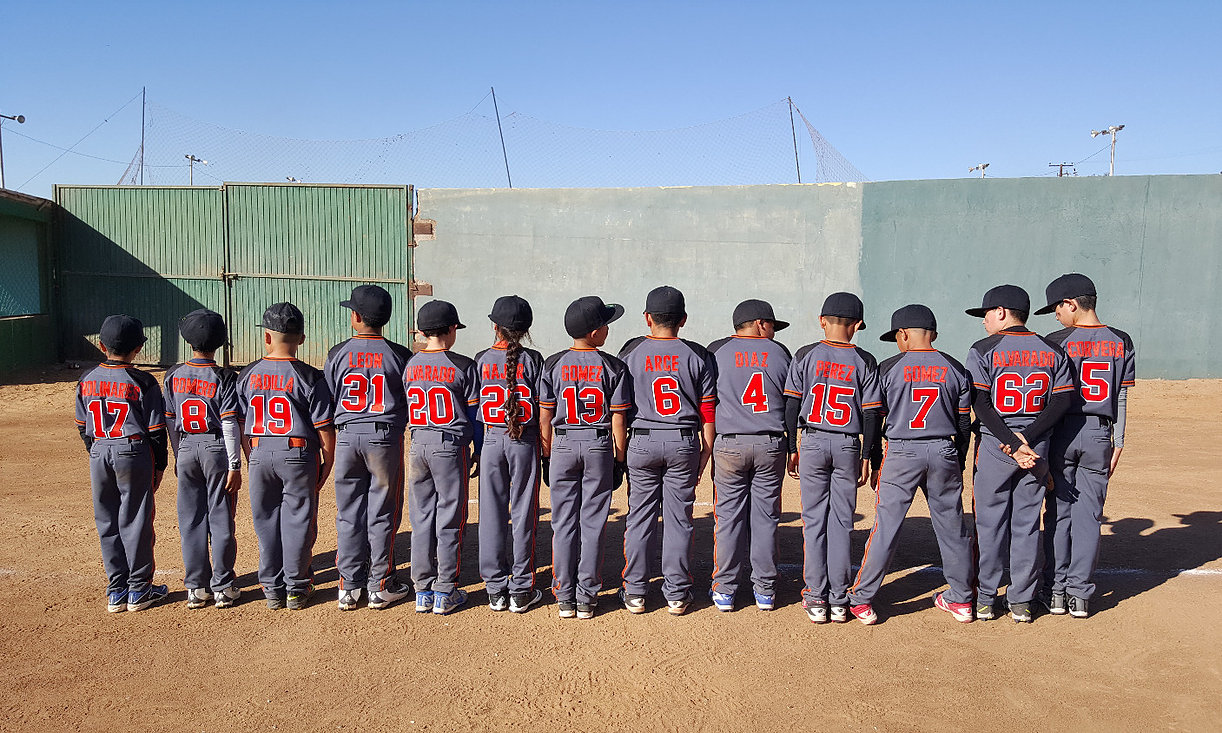 Ericeros de Ensenada, Equipo Mexicano de Calibre Internacional